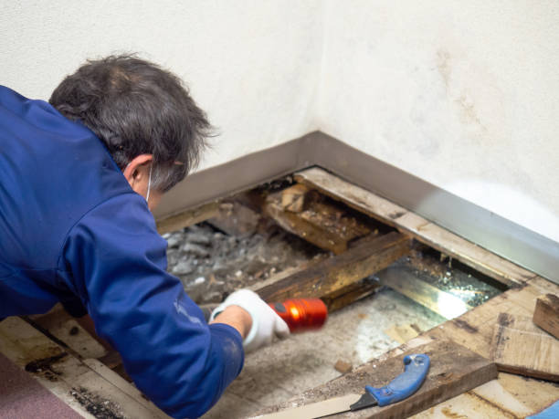 Water Damage Restoration in Pea Ridge, FL
