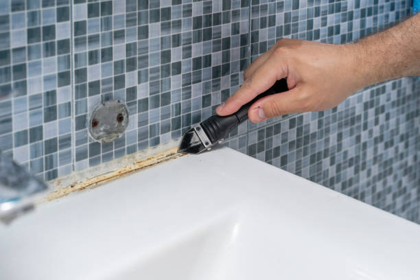Best Mold Testing  in Pea Ridge, FL