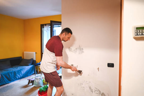 Best Mold Cleaning Services  in Pea Ridge, FL